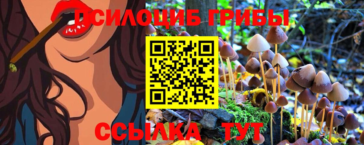 Галлюциногенные грибы Cubensis  где продают наркотики  Ростов Великий  Вход с VPN 
