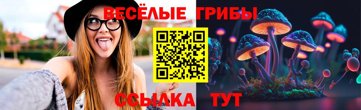 Галлюциногенные грибы прущие грибы Ростов Великий